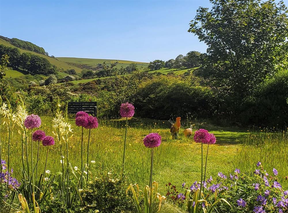 Surrounding area at Willow Tit Cottage in Ffostrasol, Dyfed