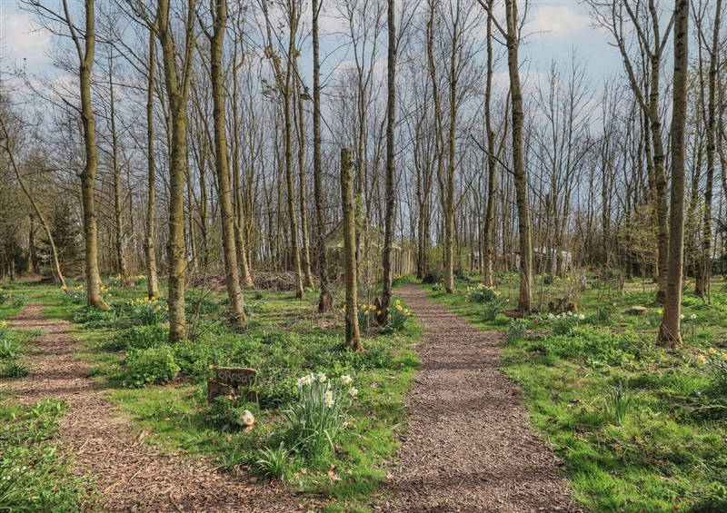 The area around Willow Yurt