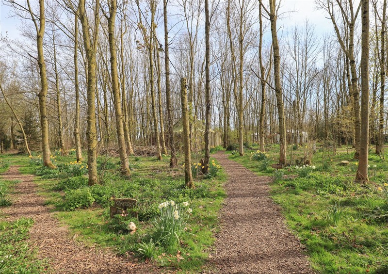 The setting of Willow Yurt