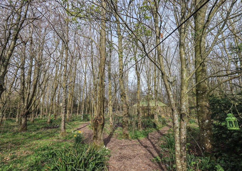 The setting of Willow Yurt