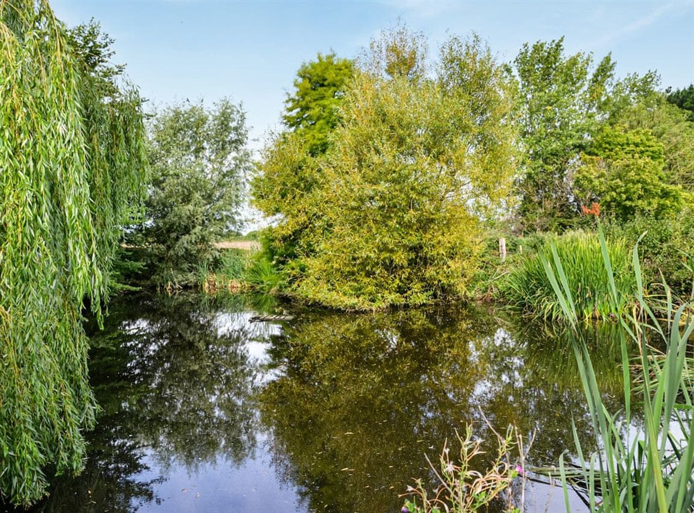 Surrounding area at Willows in Calbourne, Isle of Wight