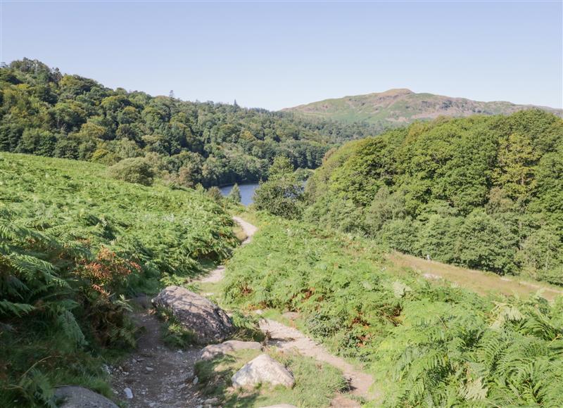 The area around Willows Lodge at Willows Lodge, Troutbeck Bridge