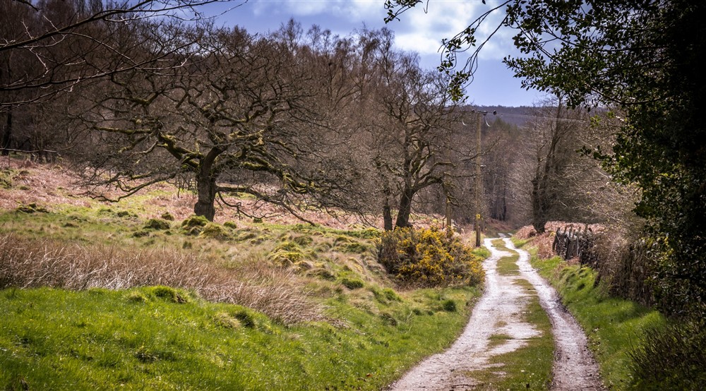 The area surrounding the Greenwood Farm cottages, Derbyshire at Wilson Farmhouse in Hope Valley, Derbyshire