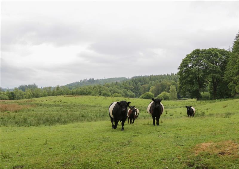 The setting around Windermere