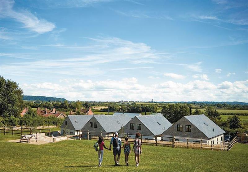 The cottages, under a blue sky at Windmill Retreat in Glastonbury, Somerset