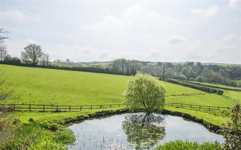 Rural landscape