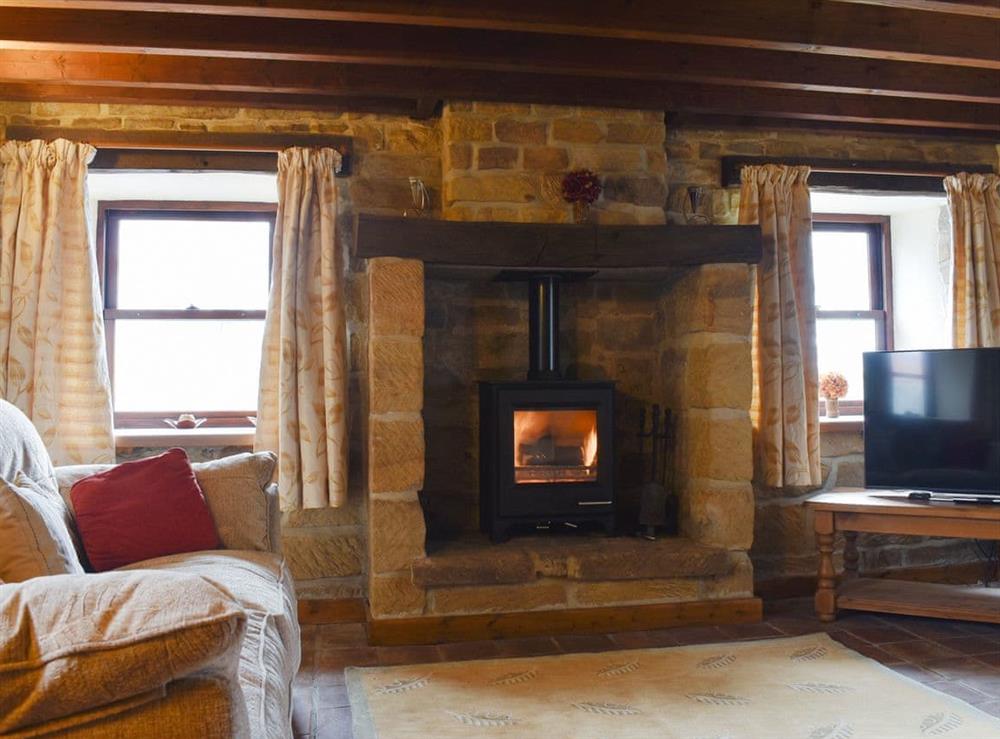 Delightful living room with cosy wood burner (photo 2) at Winter Gill Barn in Glaisdale Head, North Yorkshire