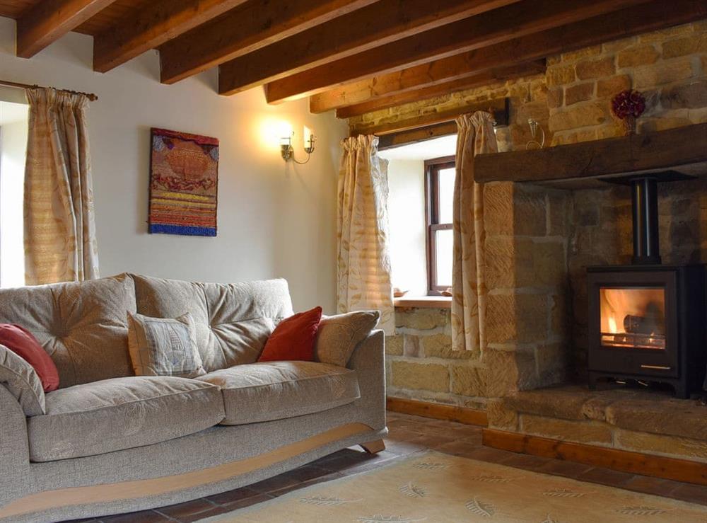 Delightful living room with cosy wood burner at Winter Gill Barn in Glaisdale Head, North Yorkshire