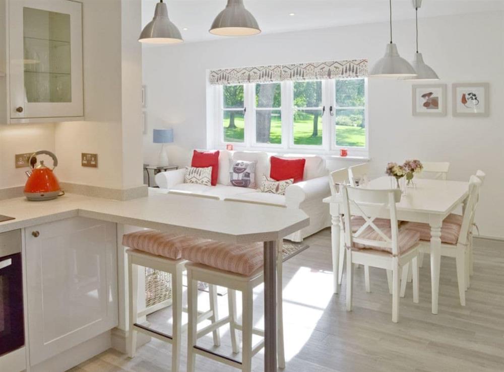 Open plan living/dining room/kitchen (photo 4) at Wishing Well Cottage in Mathon, near Malvern, Herefordshire