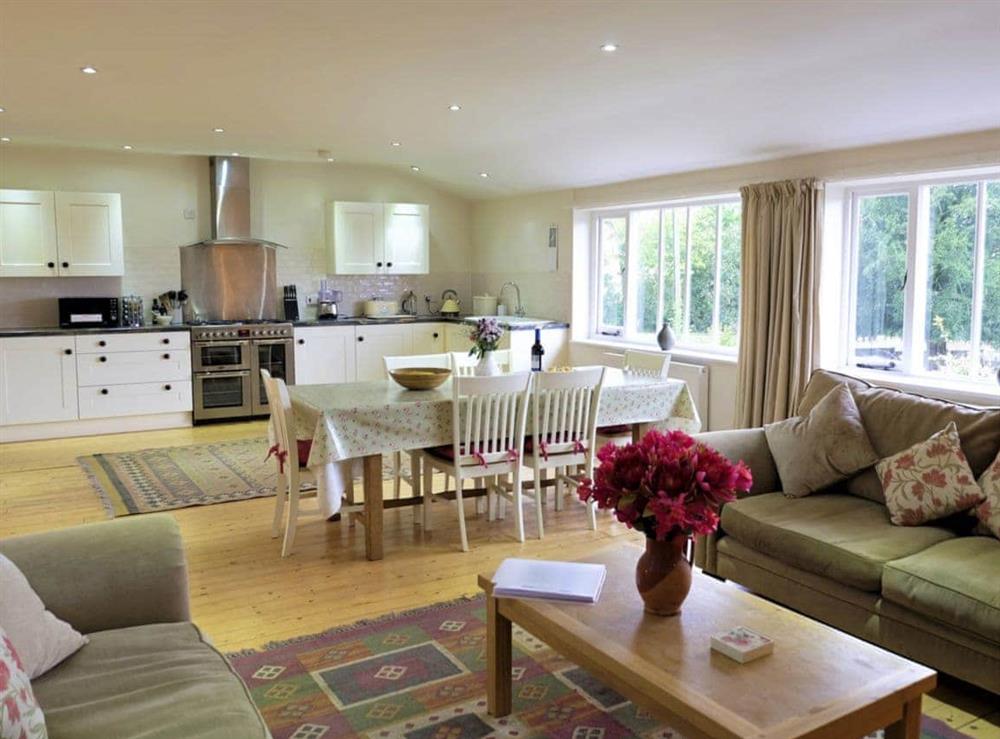 Open plan living/dining room/kitchen (photo 4) at Dove Cottage, 