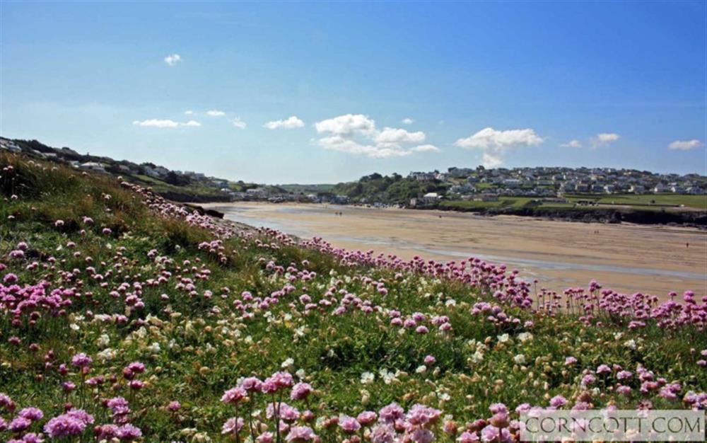 Polzeath beach at Wisteria Cottage in Camelford