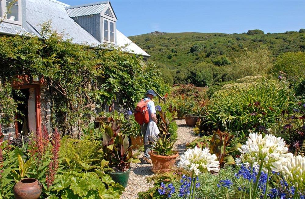 Enjoy the garden (photo 2) at Wisteria Lodge in Preseli Hills, Pembrokeshire, Dyfed