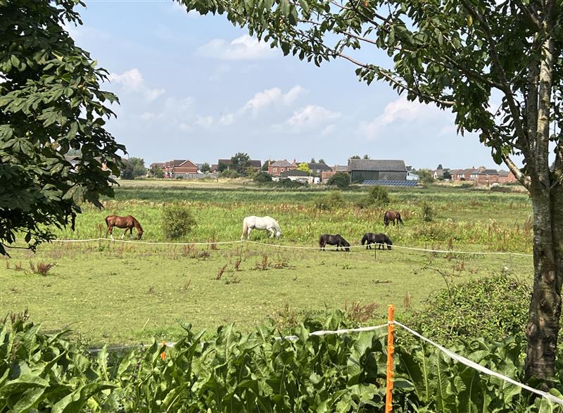 Rural landscape