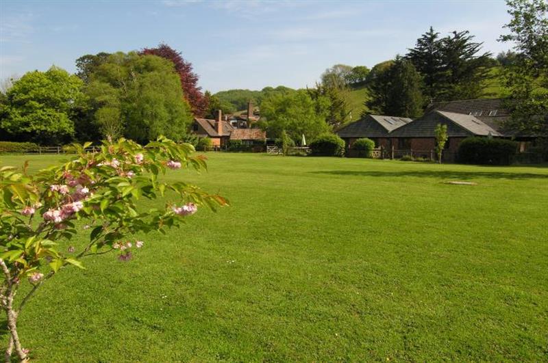 The grounds at Withycombe Cottage, Near Dunster