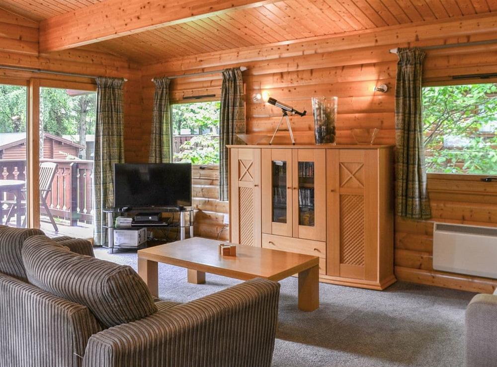 Open plan living space at Red Kite Lodge, 