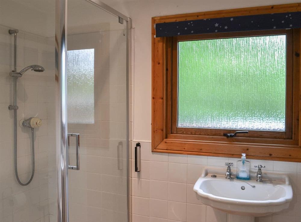 Shower room at Red Kite Lodge, 