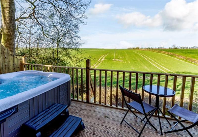 Outside hot tub in Woodmans Cabin at Wold View Farm in Cottam, East Yorkshire