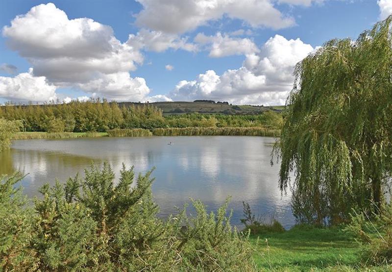 The park setting at Wold View Lodges in Claxby, Nr Market Rasen