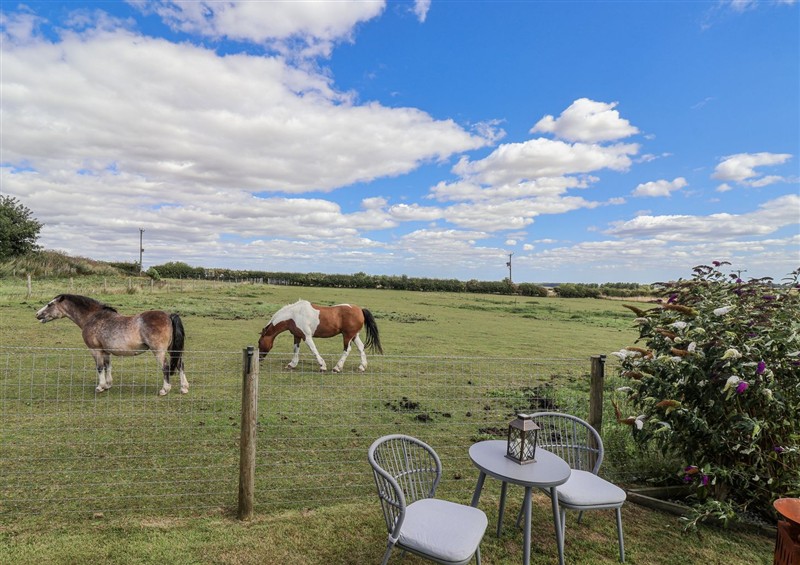 The garden (photo 2) at Wolds Hoot, Market Weighton