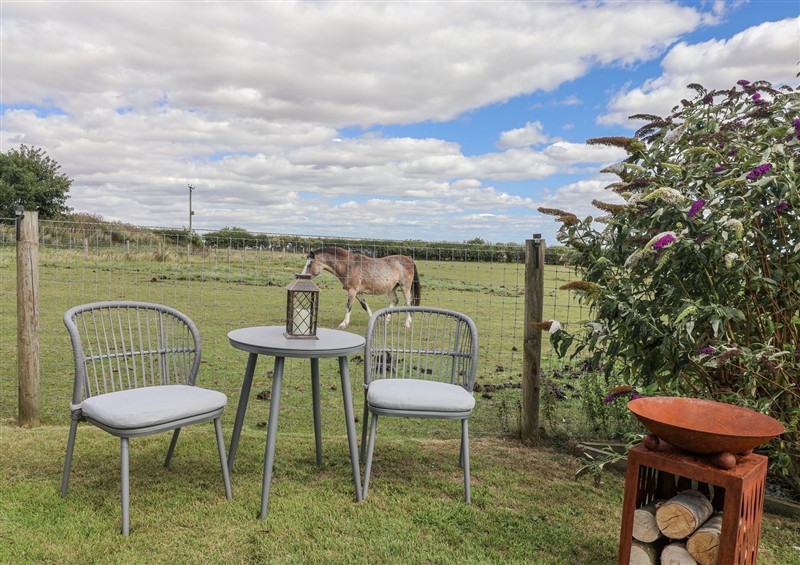 The garden at Wolds Hoot, Market Weighton