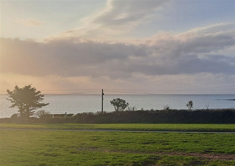 The garden (photo 2) at Wood Beach Lodge, Grange near Fethard-On-Sea