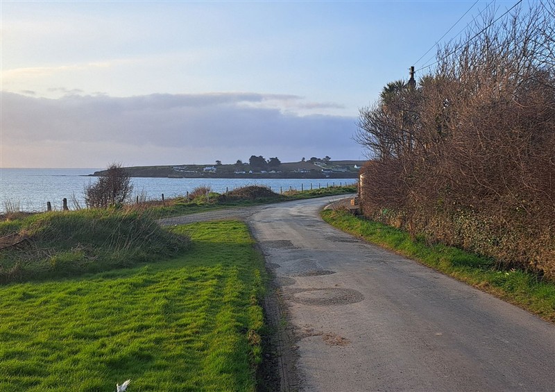 The garden at Wood Beach Lodge, Grange near Fethard-On-Sea