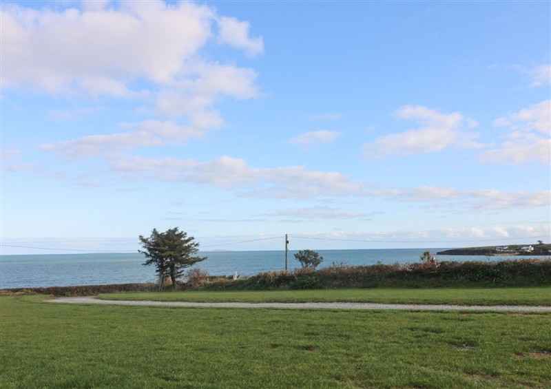 This is the garden at Wood Beach Lodge, Grange near Fethard-On-Sea