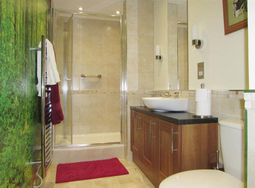 Well decorated shower room with heated towel rail at Sedge Lodge, 