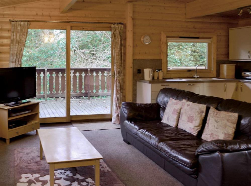 Living area at Wood Lodge in Louth, Lincolnshire