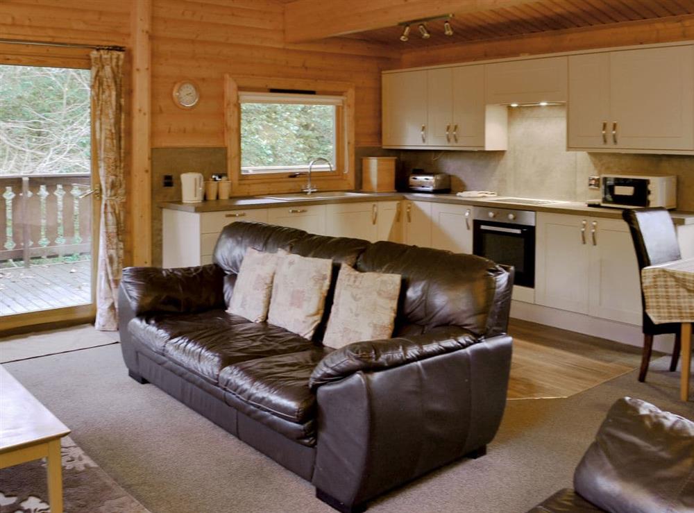 Open plan living space (photo 2) at Wood Lodge in Louth, Lincolnshire