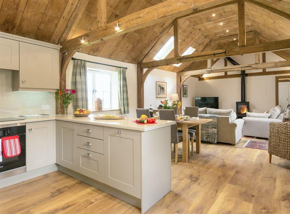Excellent open plan living space at The Calf Shed, 