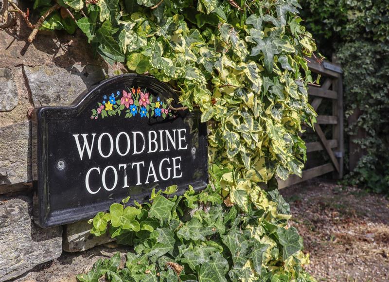 The garden in Woodbine Cottage at Woodbine Cottage, Cleeve Prior near Bidford-On-Avon