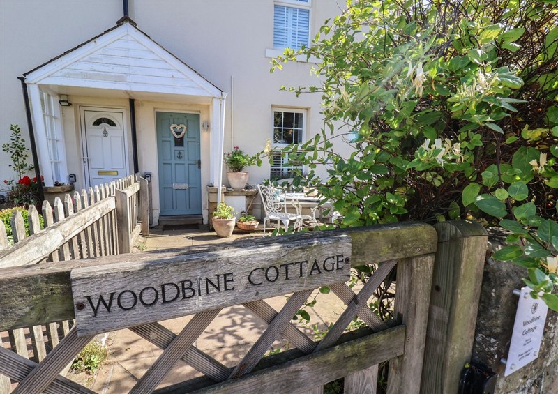 This is the setting of Woodbine Cottage at Woodbine Cottage, Sandsend