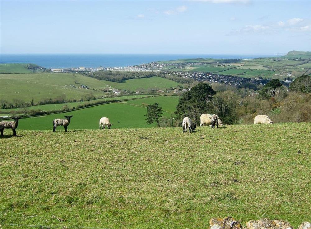 View from hill behind property at Woodbrook Cottage in Bothenhampton, near Bridport, Dorset