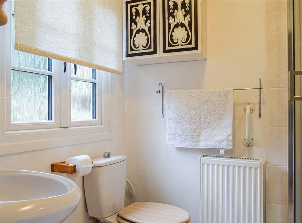 Shower room at Woodcarvers Cottage in Spring Village, Shropshire