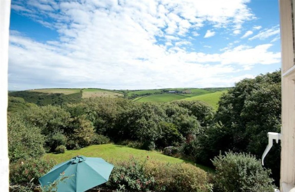 Garden and grounds (photo 2) at Woodgate in Crackington Haven, Cornwall