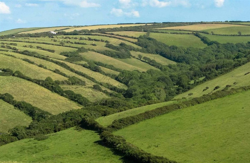 Outdoor area (photo 3) at Woodgate in Crackington Haven, Cornwall