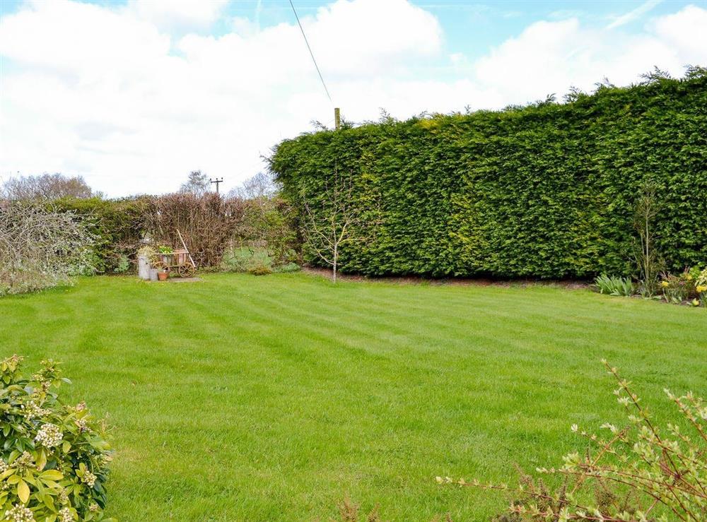 Extensive garden and grounds at Woodhouse Cottage in Dobshill, Nr Chester, Flintshire., Clwyd