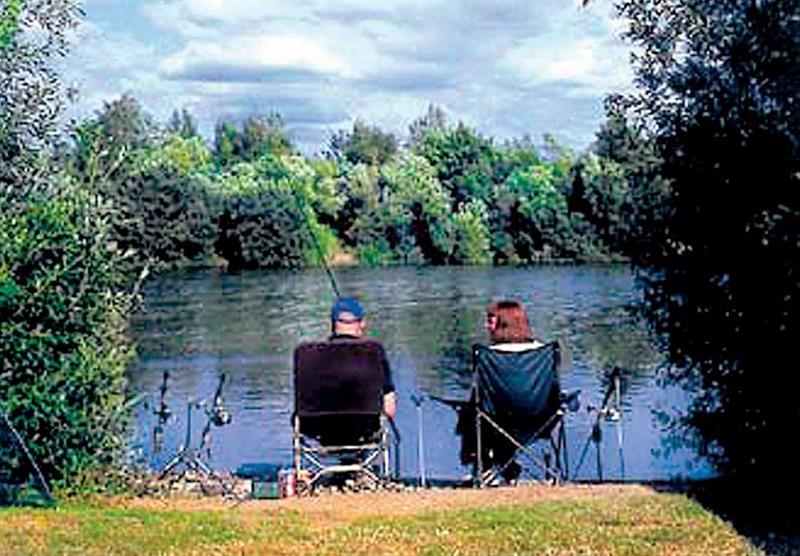 Five coarse fishing lakes at Woodlakes in Norfolk, East of England