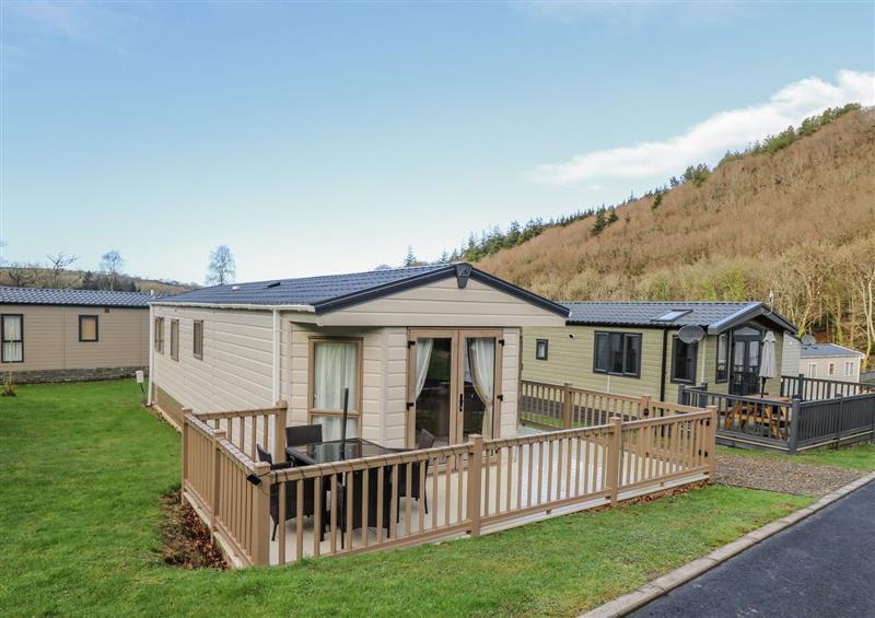 This is the setting of Woodland Breeze at Woodland Breeze, Llanarth