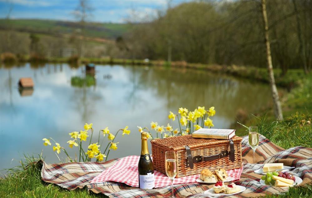 Relax by the lake with a delicious picnic full of fresh local produce at Woodland Cottage (Devon), Romansleigh