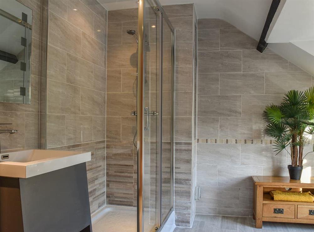Shower room at Woodland Cottage in Kidwelly, Dyfed