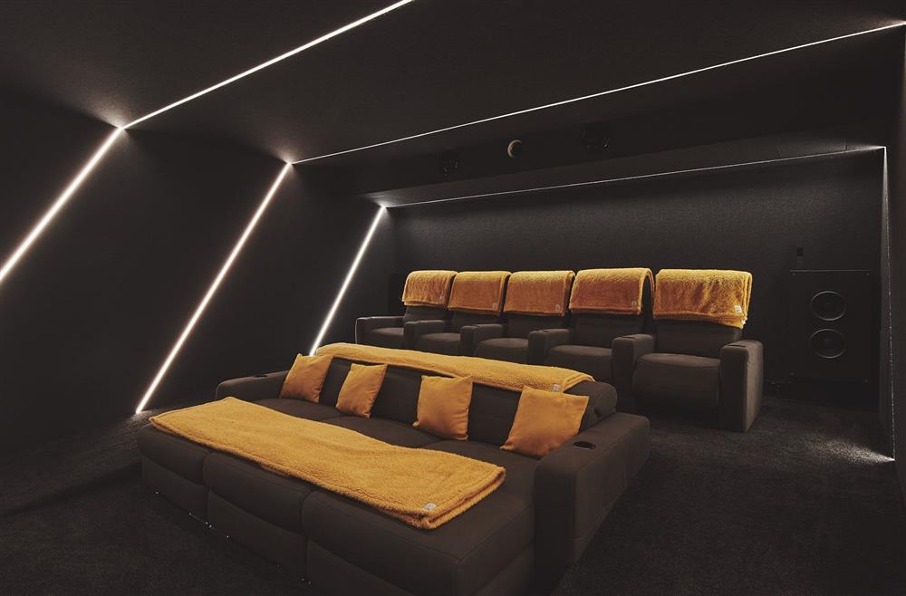 The cinema room