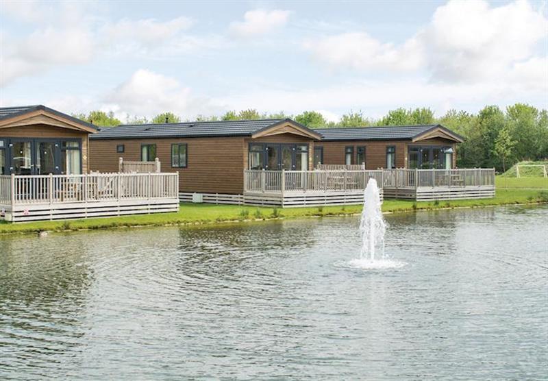 The park setting (photo number 11) at Woodland Lakes Lodges in Carlton Miniott, Thirsk, North Wales & Snowdonia