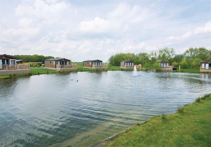 The park setting (photo number 10) at Woodland Lakes Lodges in Carlton Miniott, Thirsk