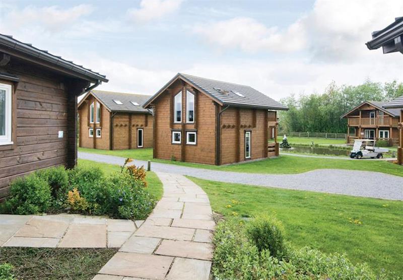 The park setting (photo number 12) at Woodland Lakes Lodges in Carlton Miniott, Thirsk