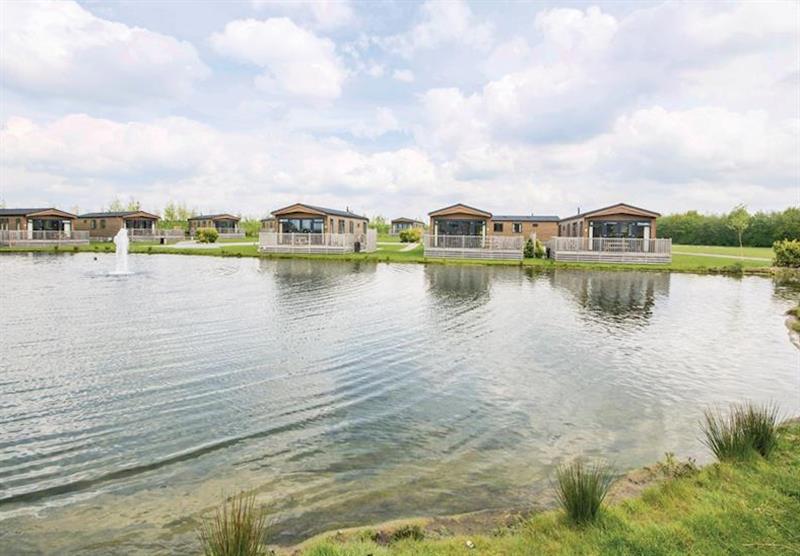 The park setting (photo number 9) at Woodland Lakes Lodges in Carlton Miniott, Thirsk