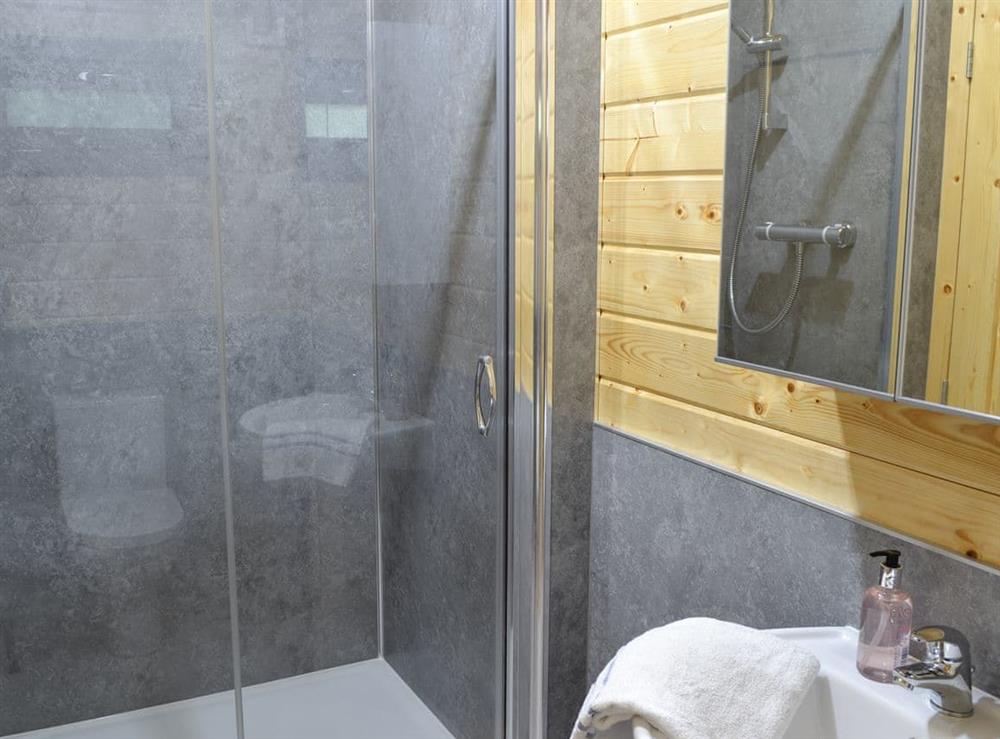 En-suite shower room at Woodland Lodge in Perran Downs, near Marazion, Cornwall