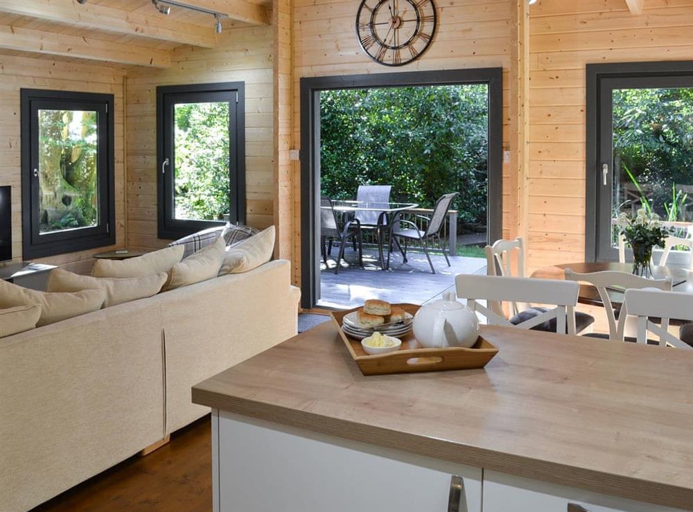 Open plan living space at Woodland Lodge in Perran Downs, near Marazion, Cornwall