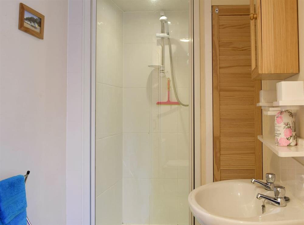 Shower room at Woodland Lodge in Rustington, near Littlehampton, West Sussex
